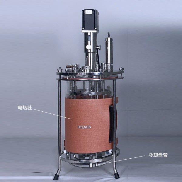 霍尔斯(HOLVES)实验发酵罐 霍尔斯(HOLVES)实验发酵罐